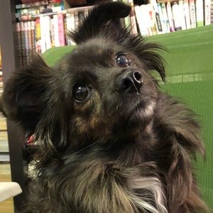 Meet your Posher, Tania